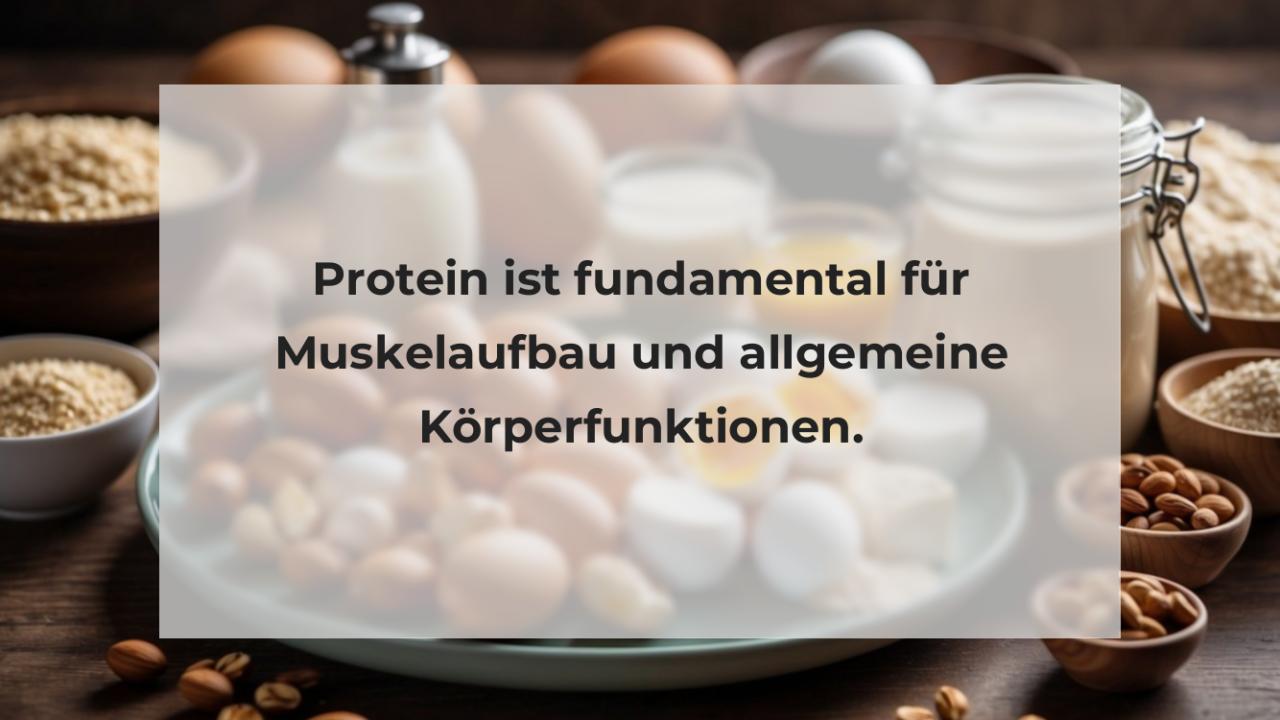 Protein ist fundamental für Muskelaufbau und allgemeine Körperfunktionen.