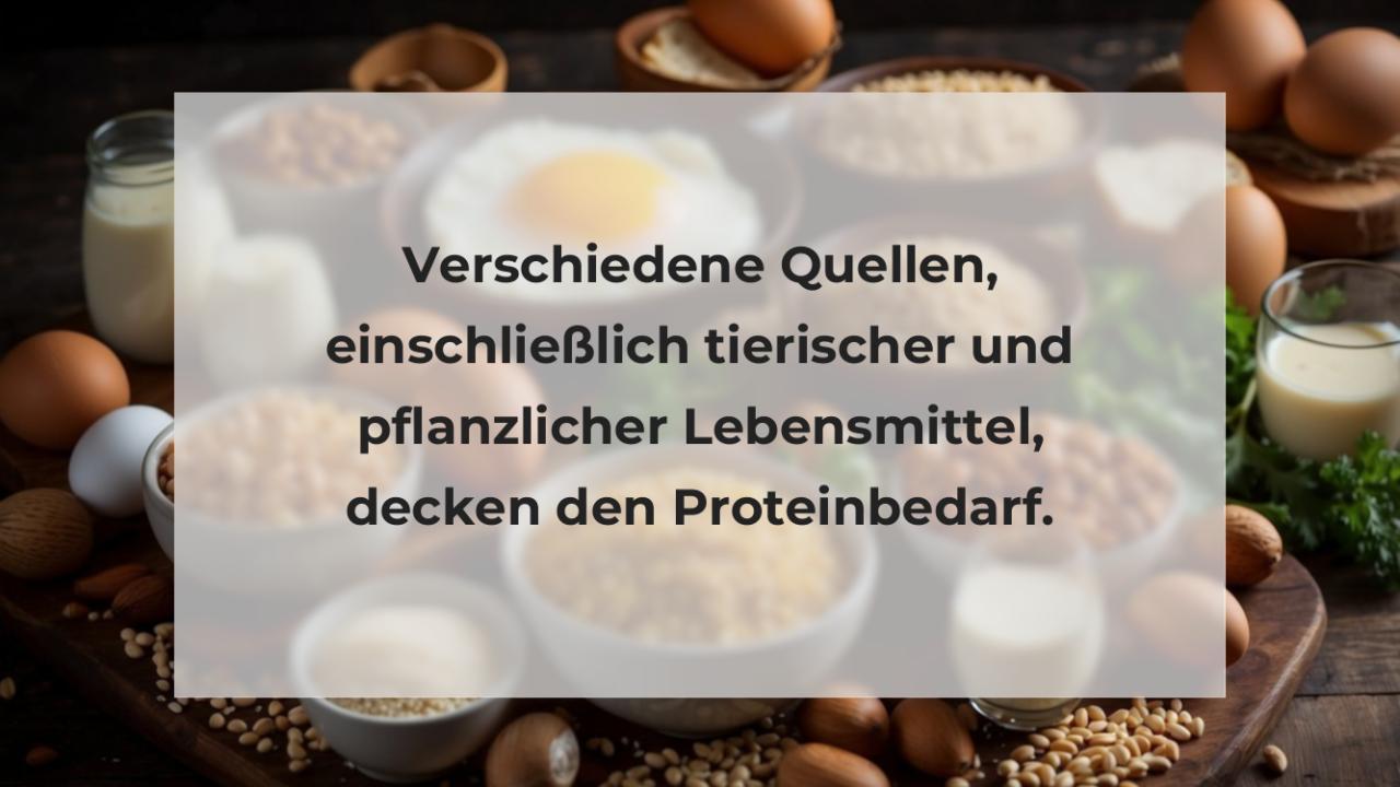 Verschiedene Quellen, einschließlich tierischer und pflanzlicher Lebensmittel, decken den Proteinbedarf.